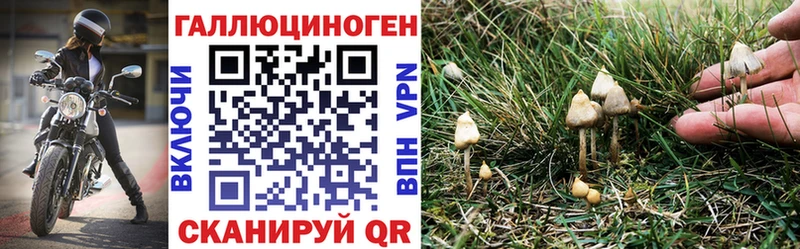 Псилоцибиновые грибы ЛСД  Купить  Карабулак 